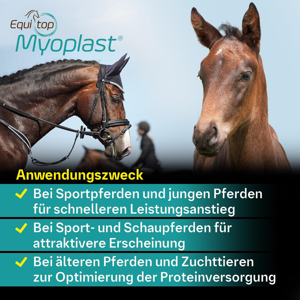 EQUITOP Myoplast in feeding bowl highlights mixing with daily feed.