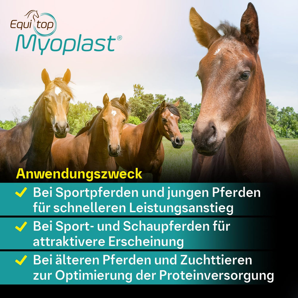 EQUITOP Myoplast during workout supports lean muscle maintenance for ongoing training demands.