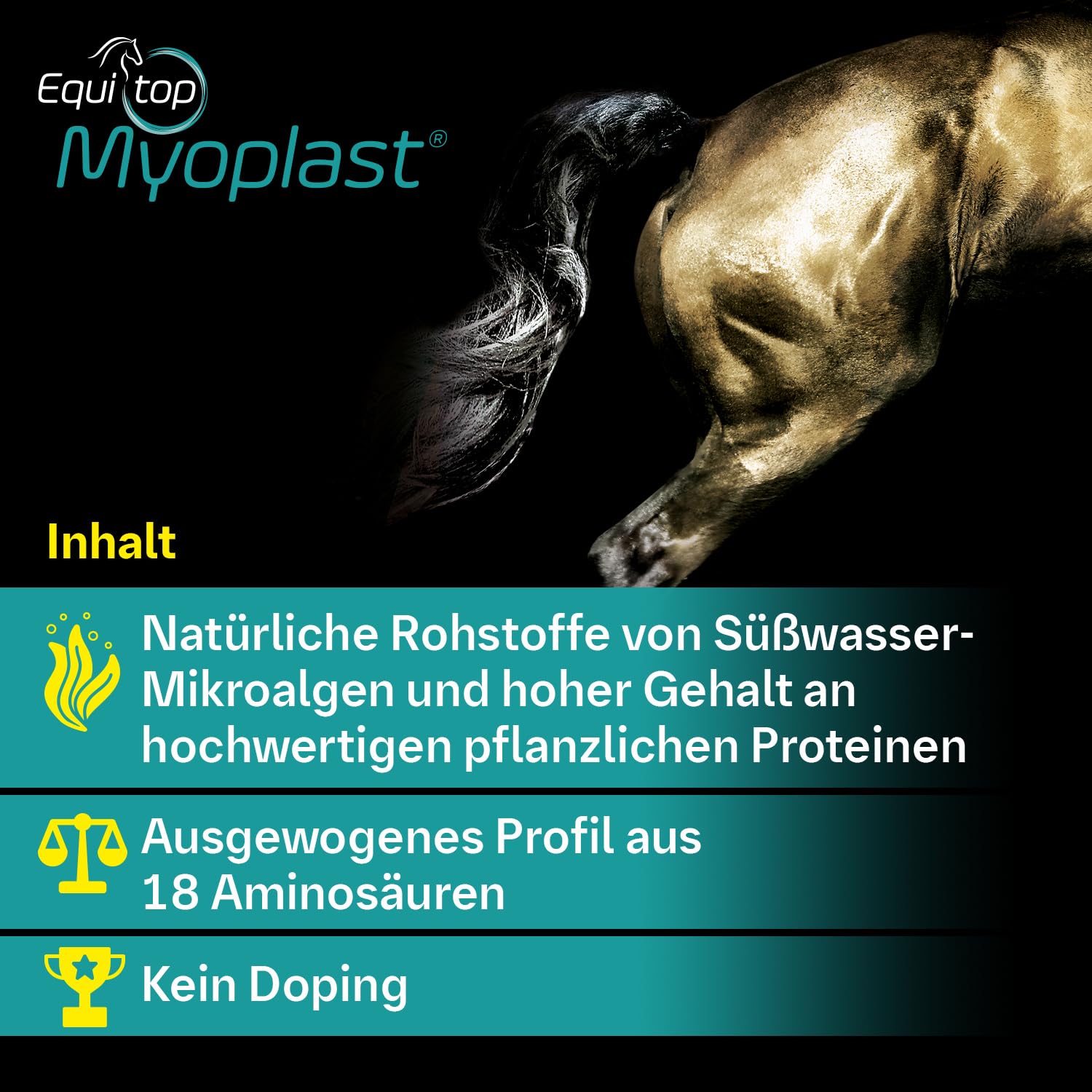 EQUITOP Myoplast scoop shows precise measurement for consistent nutrition.