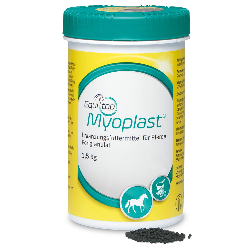 EQUITOP Myoplast storage area shown for easy home use.