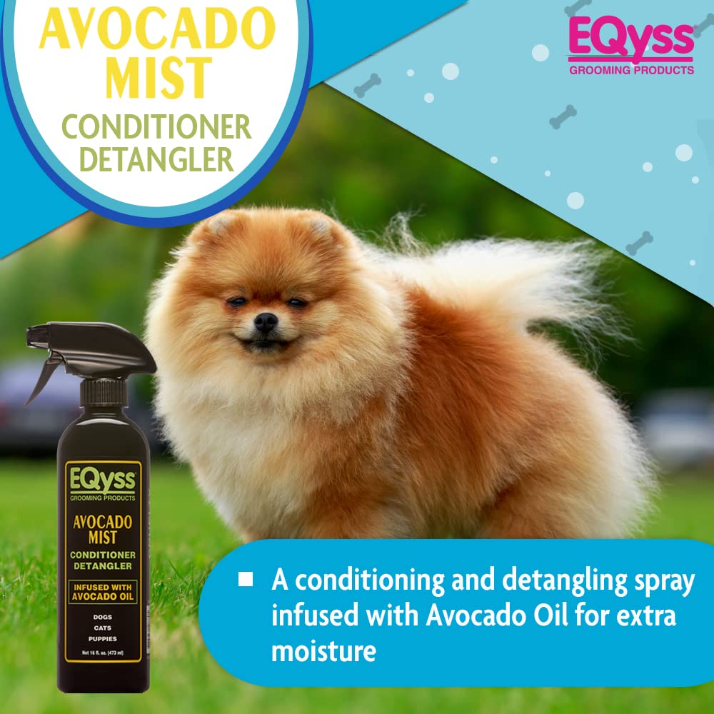 Eqyss Avocado Mist coat shows detangling and added shine.