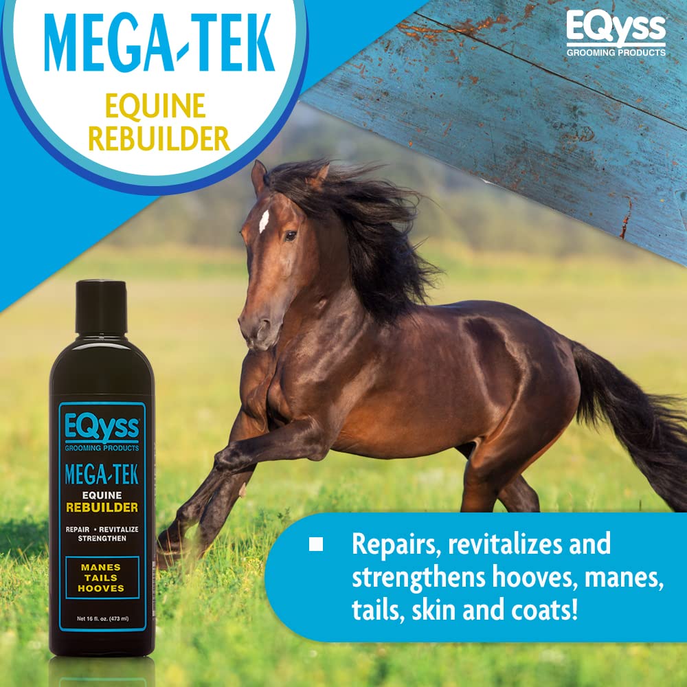 Eqyss Mega-Tek Equine Rebuilder on the coat showing healthier texture and reduced breakage