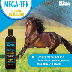 Eqyss Mega-Tek Equine Rebuilder on the coat showing healthier texture and reduced breakage