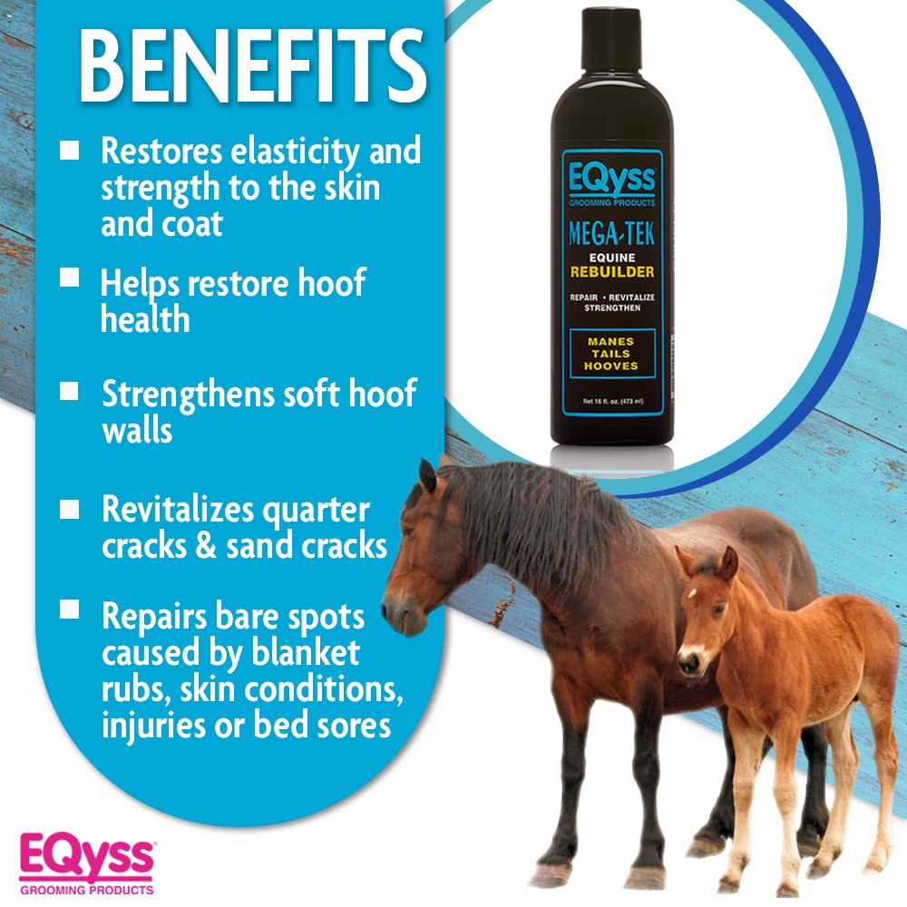 Eqyss Mega-Tek Equine Rebuilder applied to coronet band to support hoof health