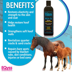 Eqyss Mega-Tek Equine Rebuilder applied to coronet band to support hoof health