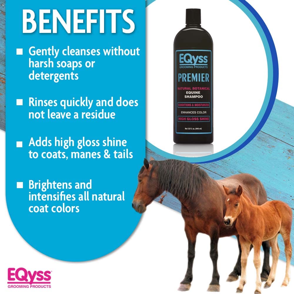 Lather from Eqyss Premier on a horse’s coat demonstrating gentle cleansing