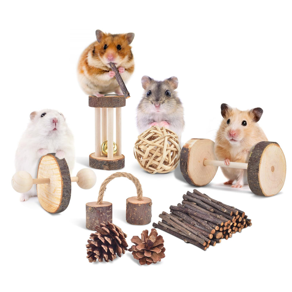 ERKOON 11-pack chinchillas chew toys willow rattan ball for swinging fun
