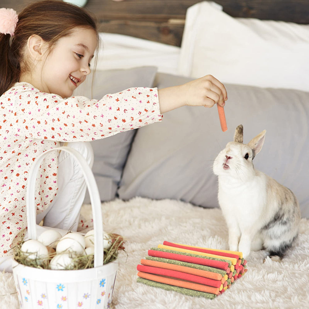 ERKOON Timothy Hay Sticks carrot flavor supports teeth wear and playful foraging