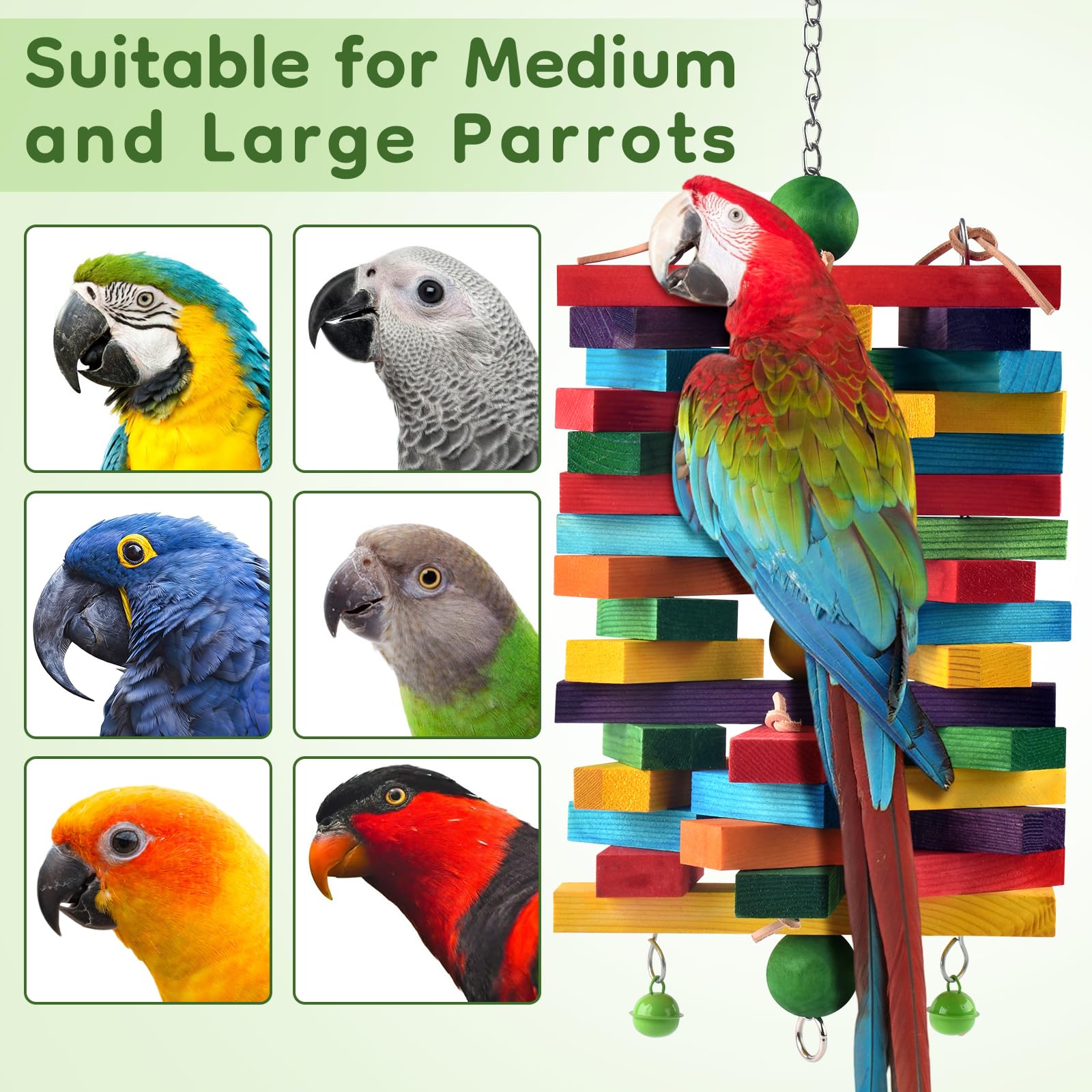 ERKOON bird perched beside the toy highlighting interactive play.