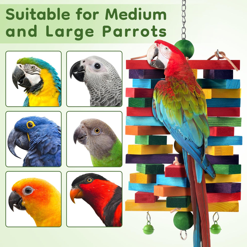 ERKOON bird perched beside the toy highlighting interactive play.