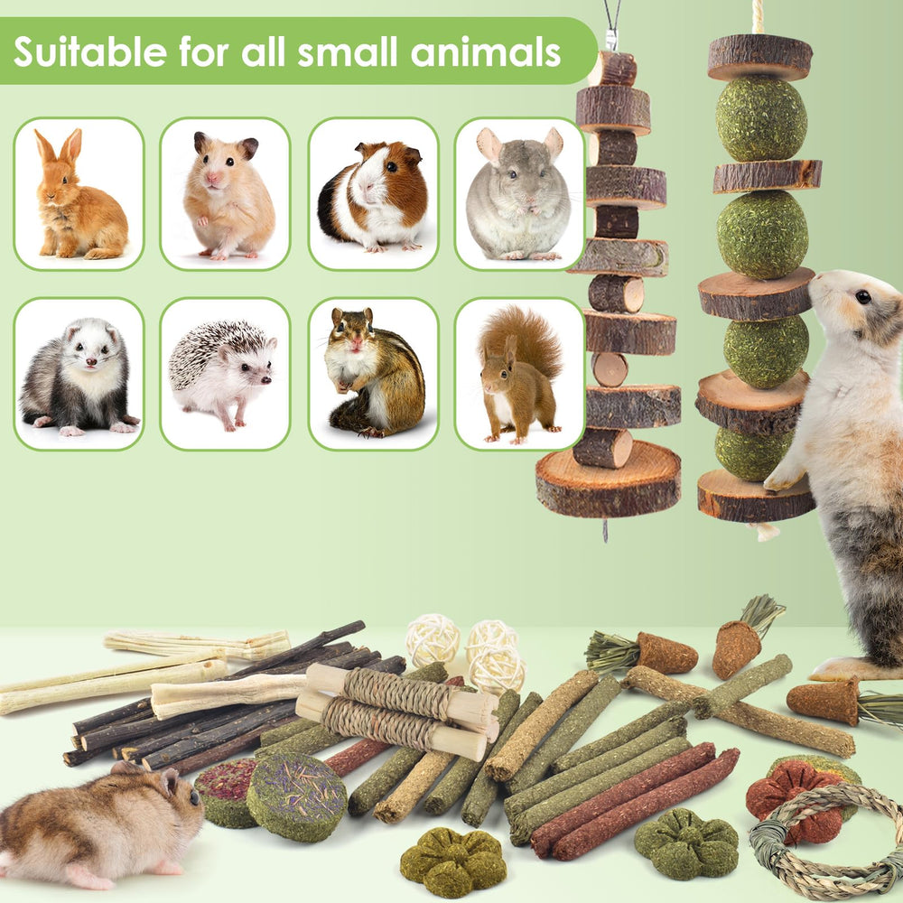 ERKOON safe dental care snacks designed for small rodents