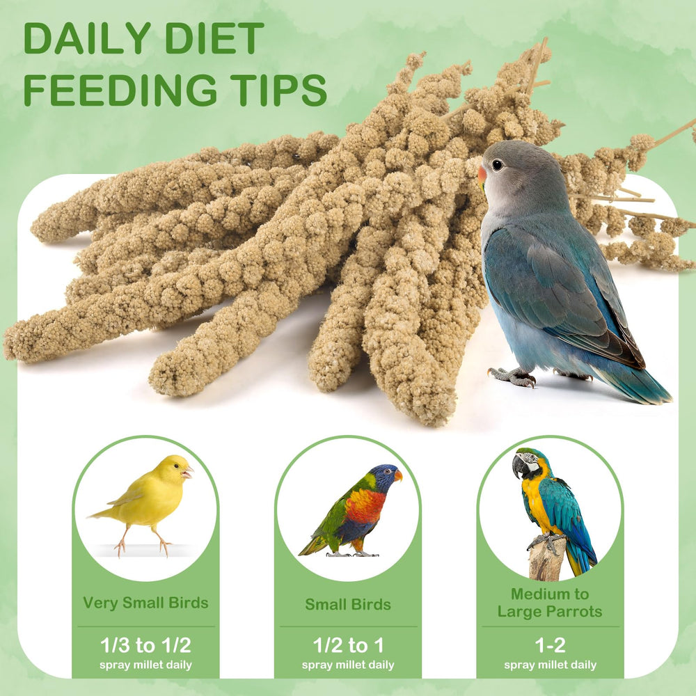 Birds savor ERKOON spray millet snack during play and bonding.