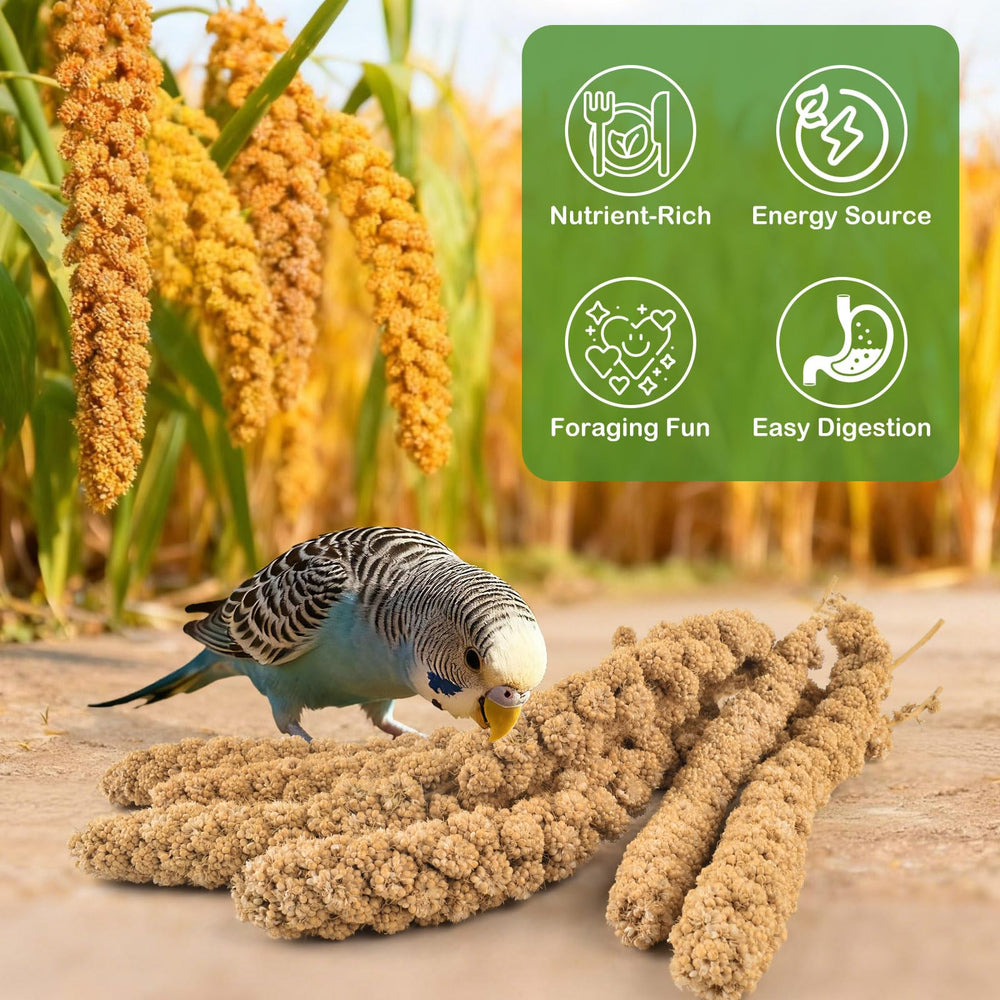 ERKOON Millet Spray foraging toy keeps birds engaged and satisfied.