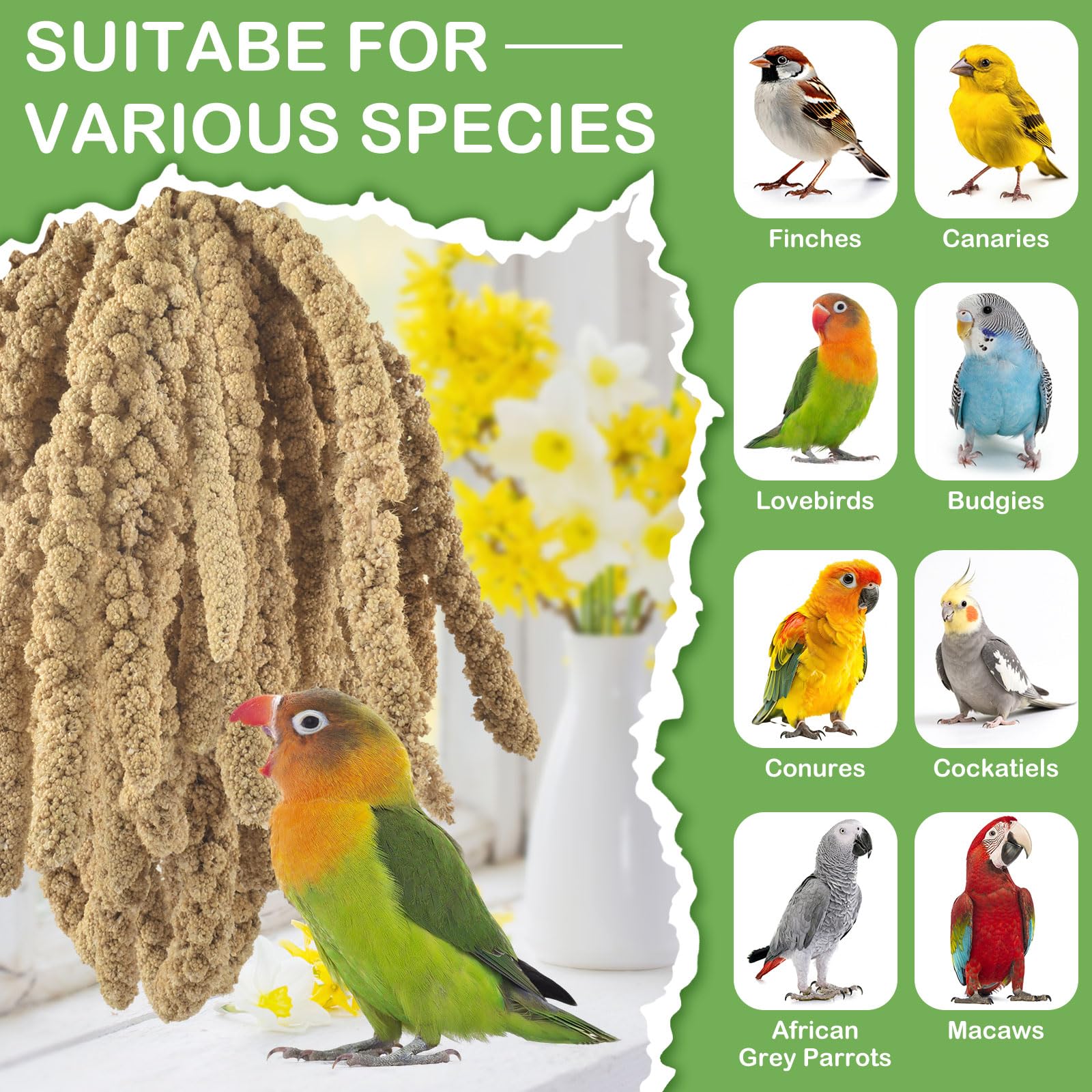 ERKOON millet treat also suits hamsters for cross-species snacking.