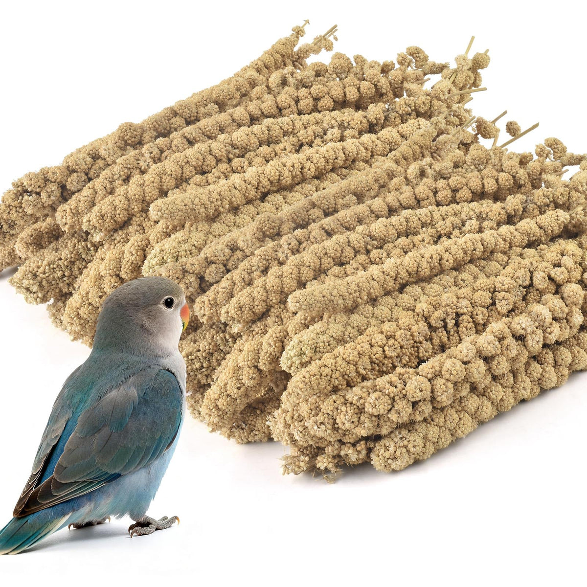 ERKOON Spray Millet Treat package, a natural sun-dried snack for small birds.