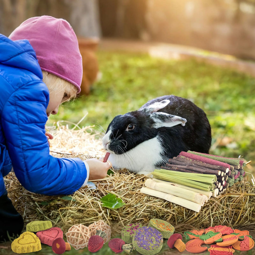 ERKOON multi-shape grass ball and mushroom shapes support varied chewing.