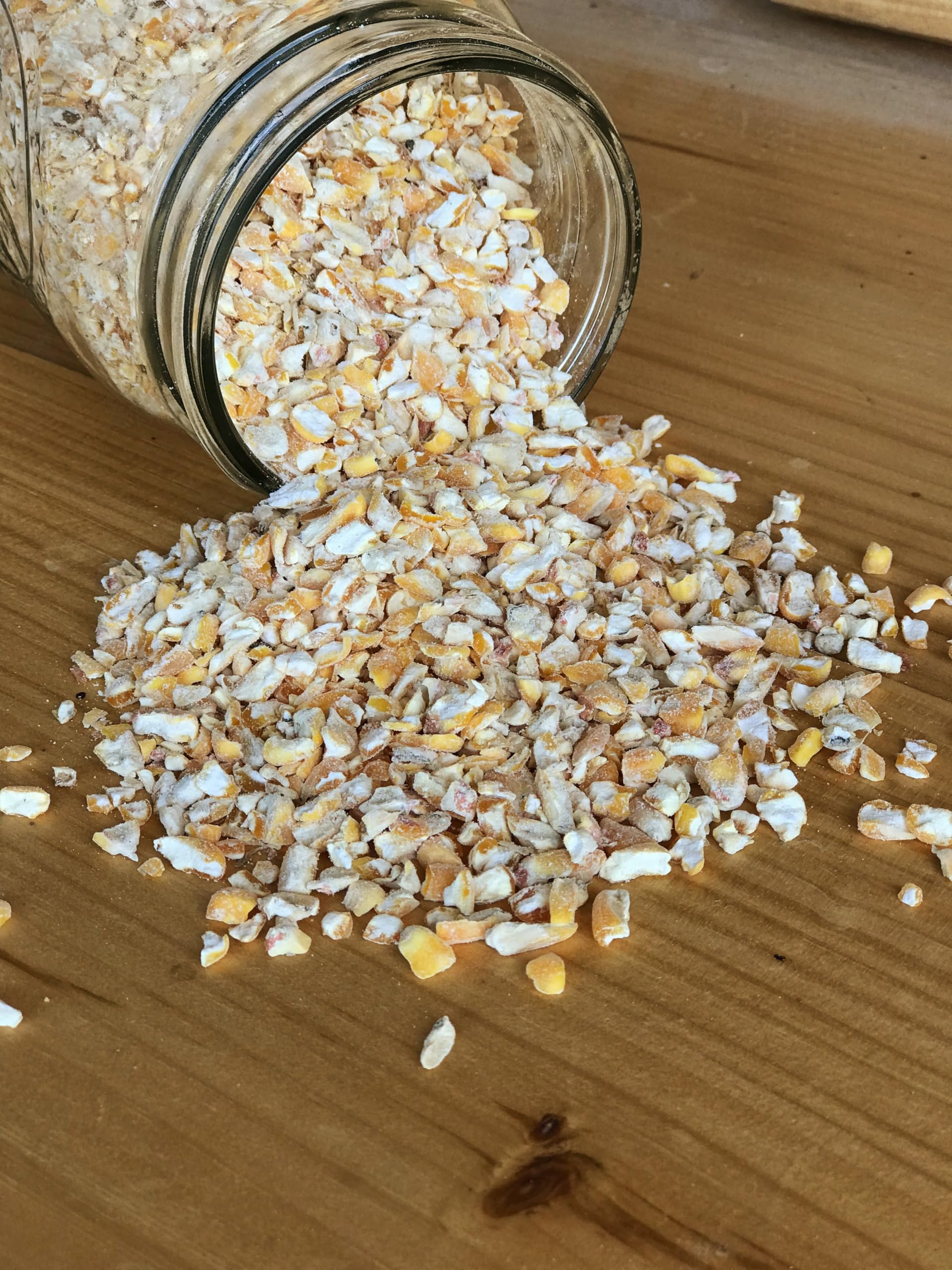 Ernst Grain cracked corn feeding chickens in a coop setting