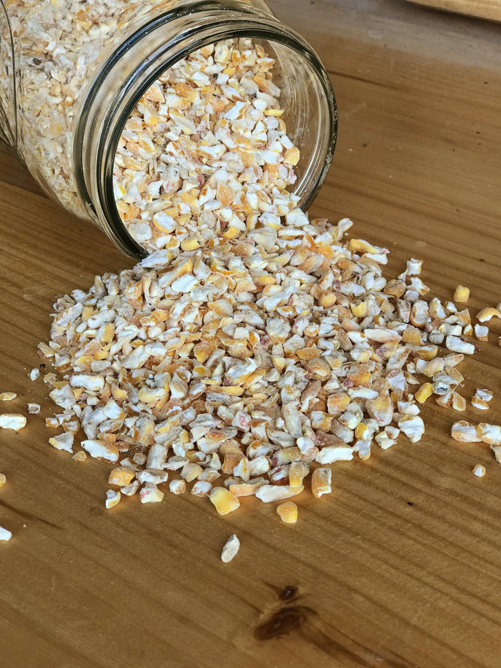 Ernst Grain cracked corn feeding chickens in a coop setting
