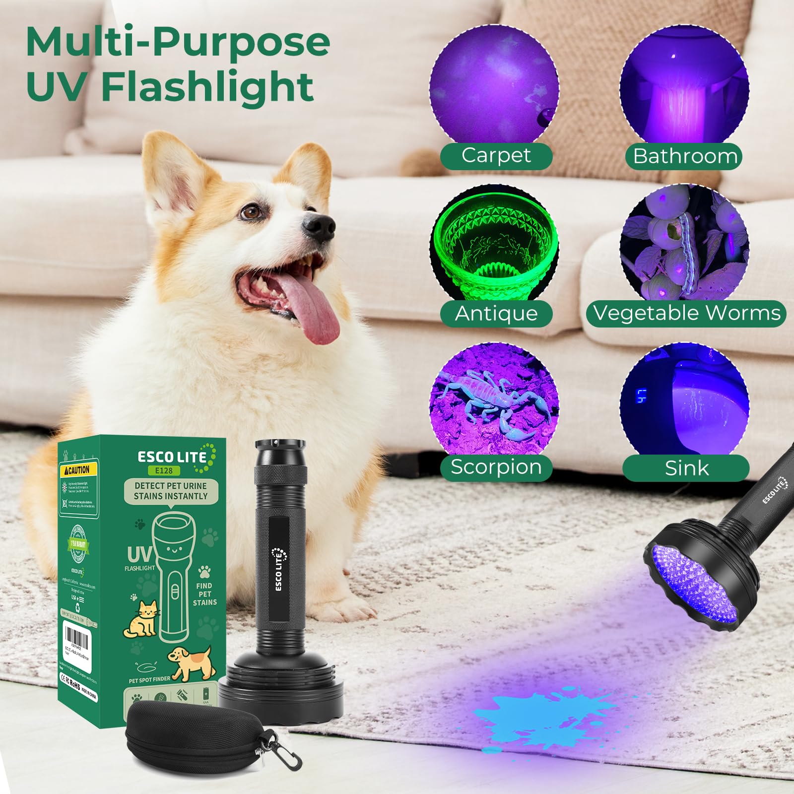 ESCO LITE hunting mode helps uncover fluorescent minerals and outdoor surprises.