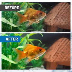 Esctabalt double-layer filter media inside highlights thorough filtration