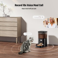 Espelho automatic cat feeder timer settings highlight customizable meal times.