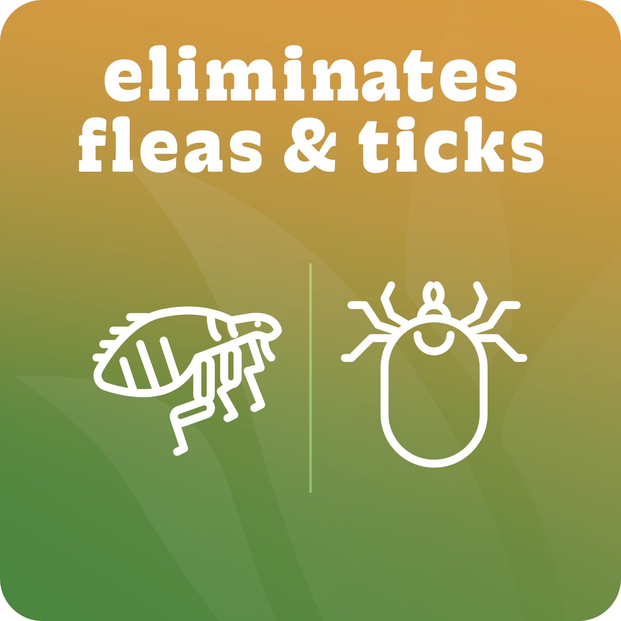 Espree Flea & Tick Shampoo lather showing deep cleansing and deodorizing action.