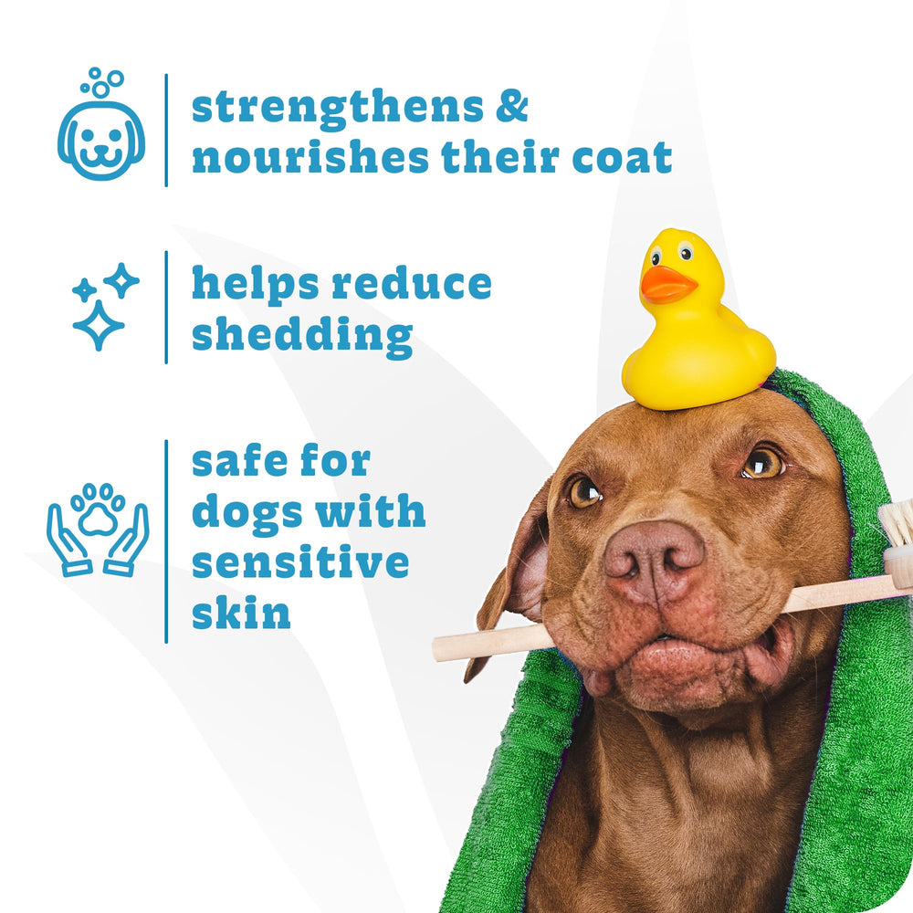 Espree Simple Shed Treatment during a grooming session enhances coat manageability.