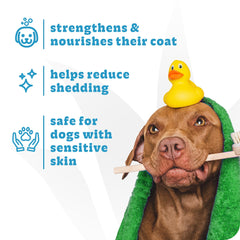 Espree Simple Shed Treatment during a grooming session enhances coat manageability.