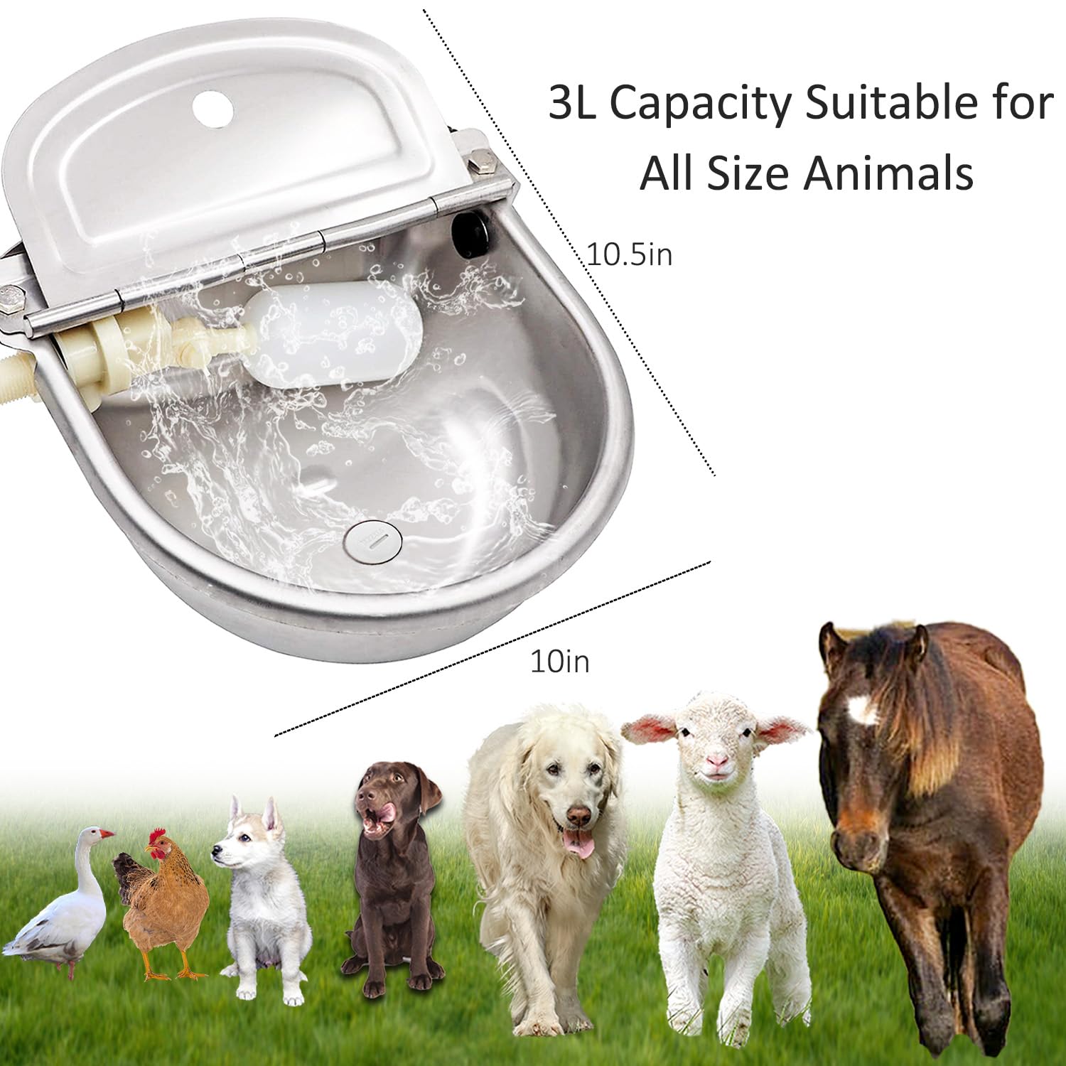 Essilnn water dispenser includes all essential accessories for quick setup.