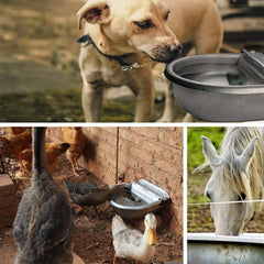 Essilnn waterer highlighting durable stainless steel construction for long life.