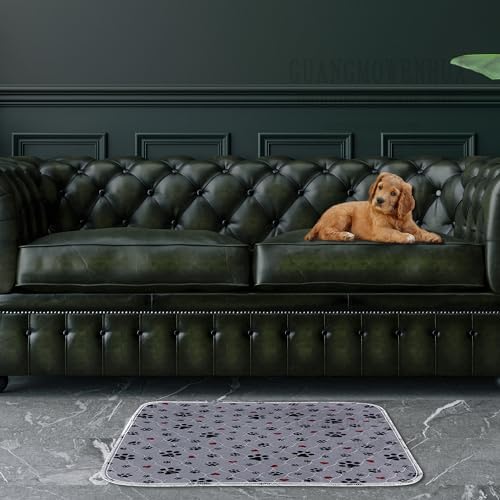 ESWIN pad in-use with dog demonstrating size and comfort