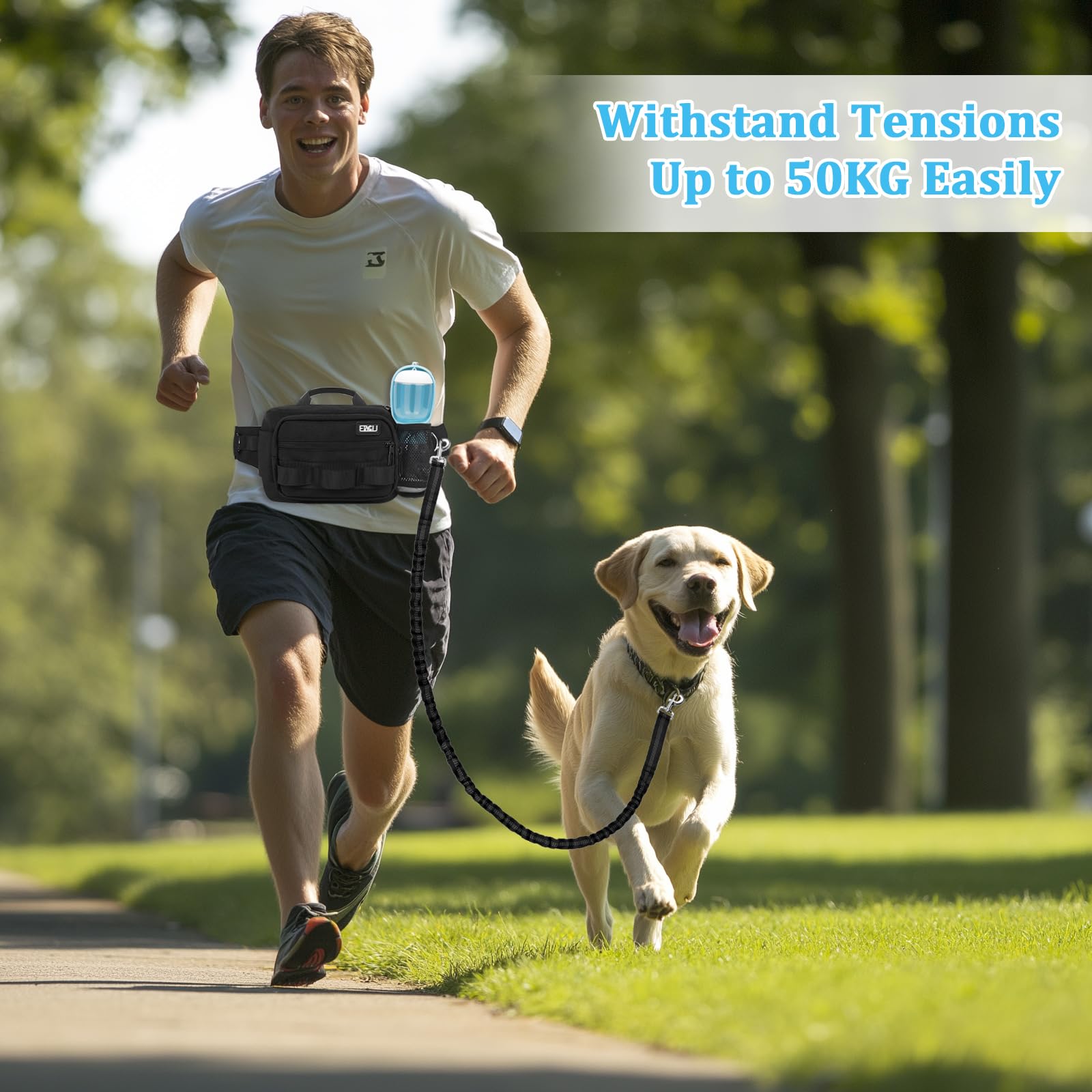 ETACCU all-in-one dog walking kit supports running, walking, and hiking