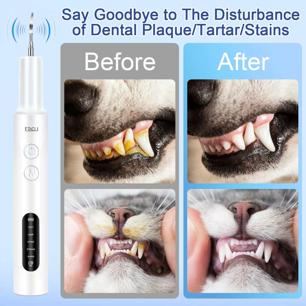 ETACCU includes replaceable heads, probe, tartar scraper and dental mirror