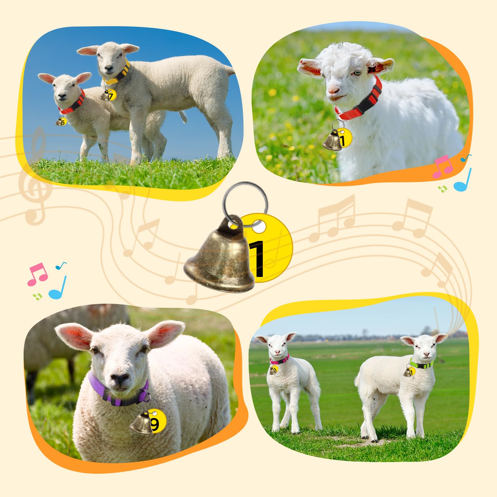 ETCYAOXIN goats on pasture with visible collars improving tracking.