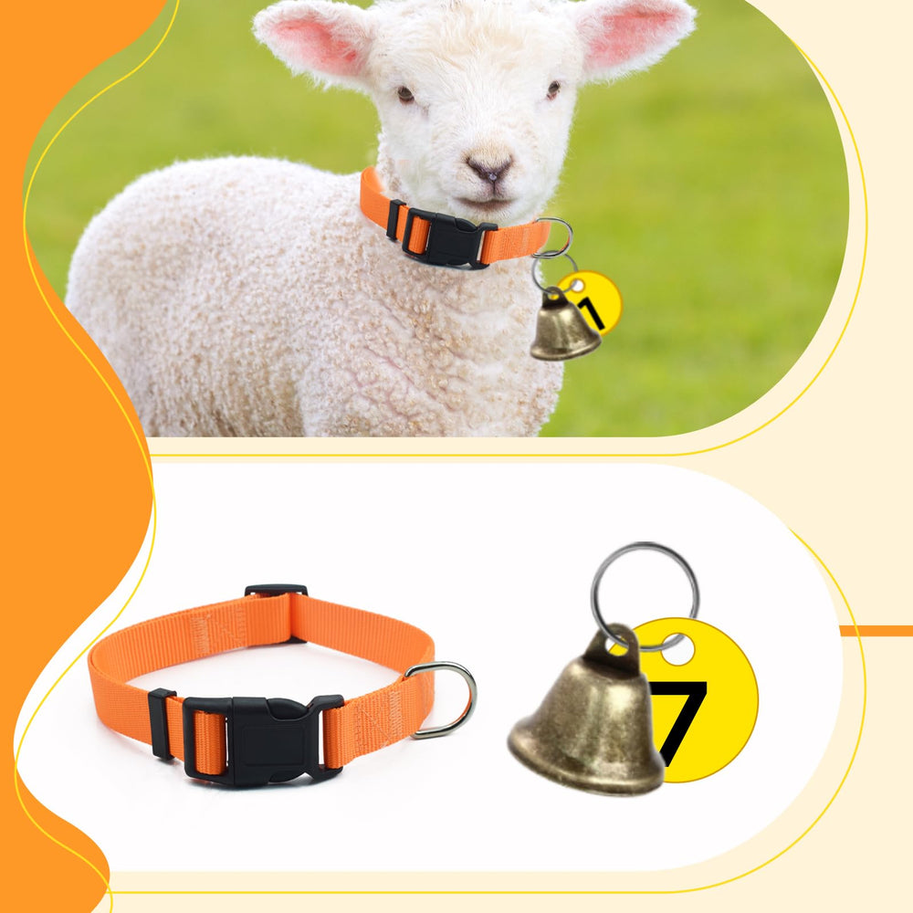 ETCYAOXIN numbered tags on collar for easy animal identification.