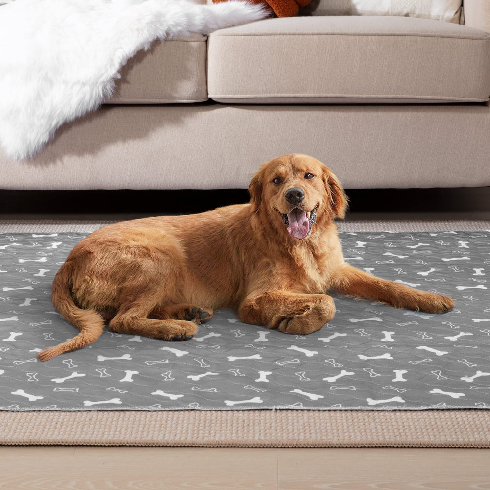 Eterish crate pad protects floors and simplifies cleanup