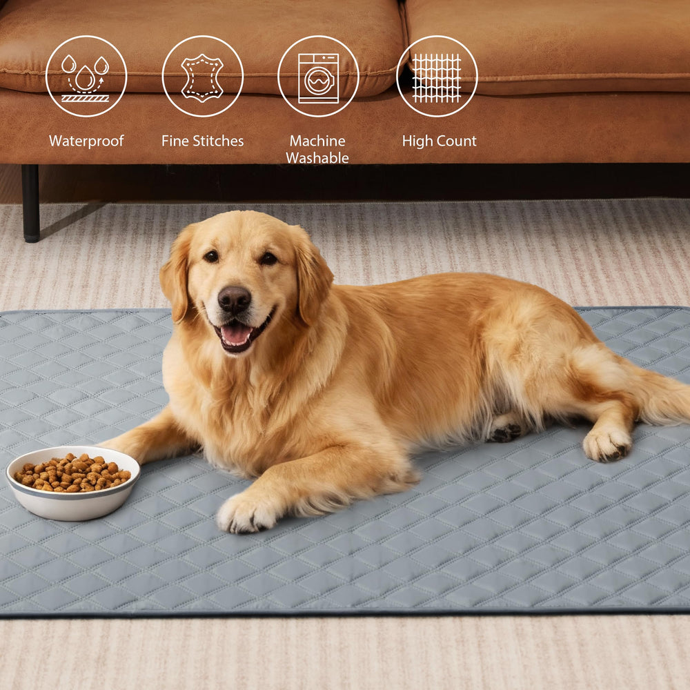 Eterish dog training pad setup for easy housebreaking.