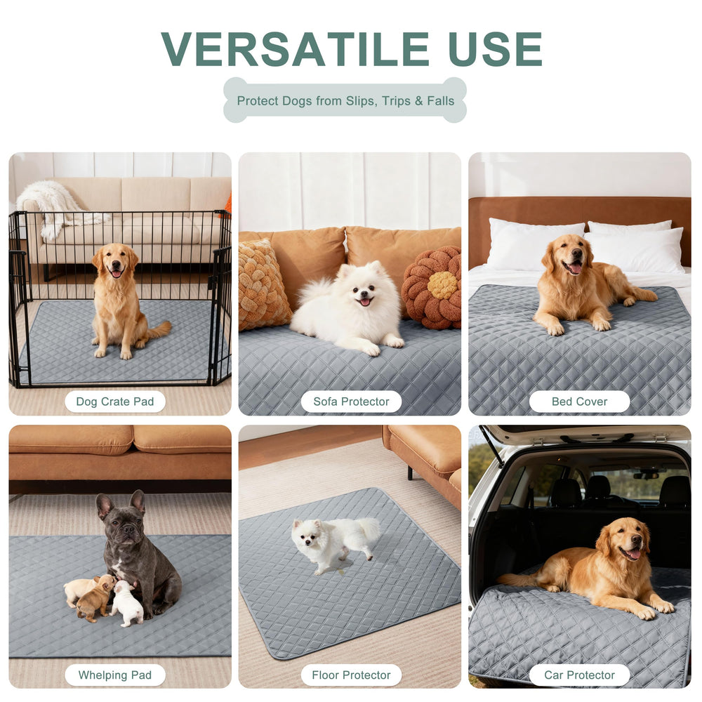 Eterish kennel crate setup with pad for training comfort.