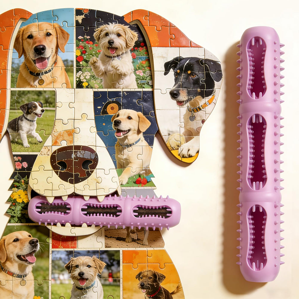 Eternalyme durable dental chew toy built for long-lasting use