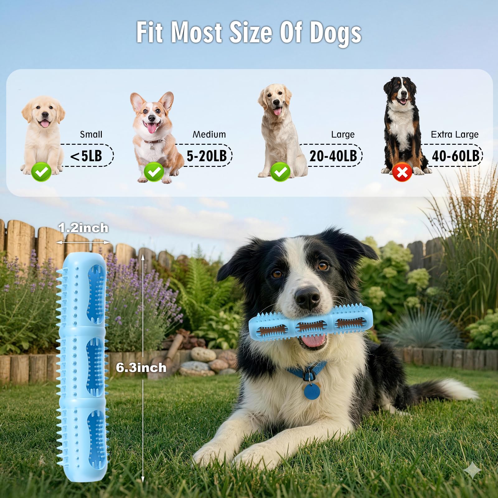 Eternalyme soft silicone dog toy emphasizes safe daily chewing