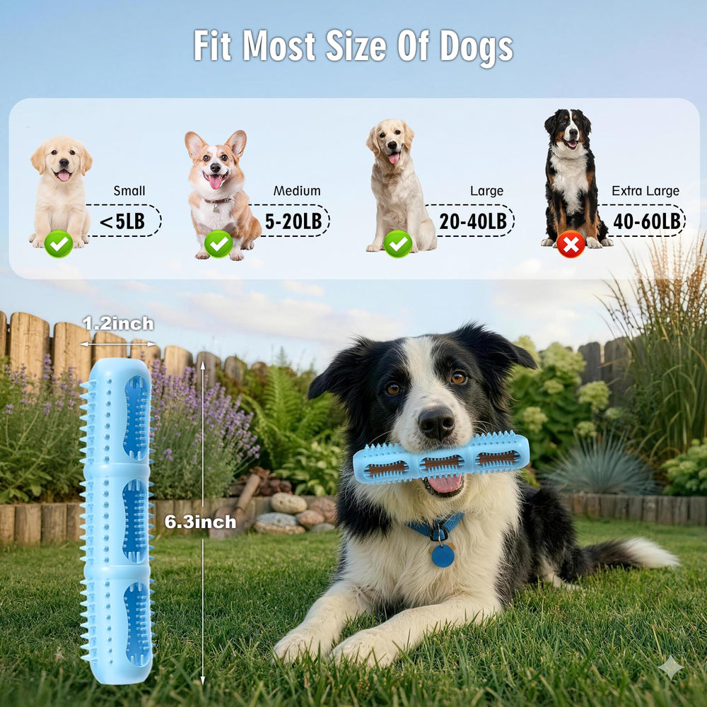 Eternalyme soft silicone dog toy emphasizes safe daily chewing