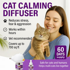ETEVIVO four-pack refills provide ongoing comfort for your cat over months.