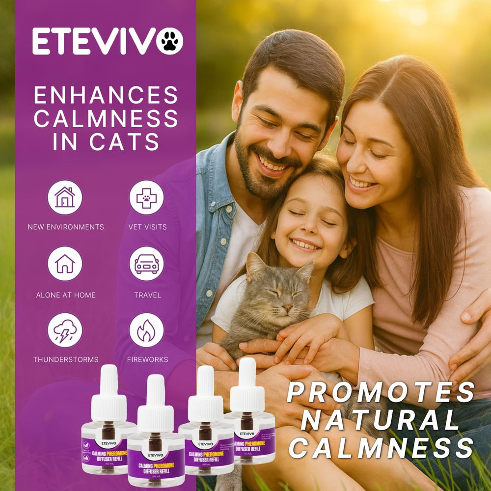 ETEVIVO plug-and-play setup ready in minutes