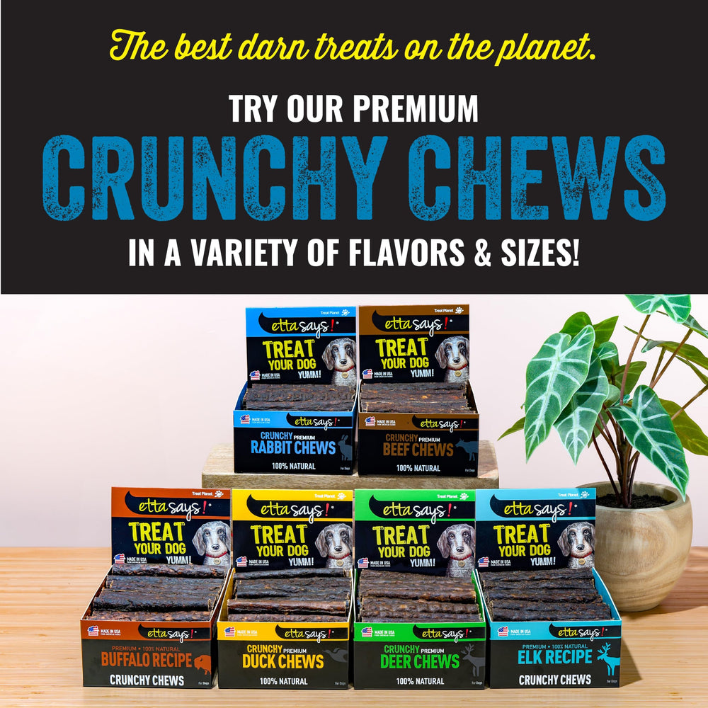 etta says! grain-free formula for dogs with sensitive stomachs