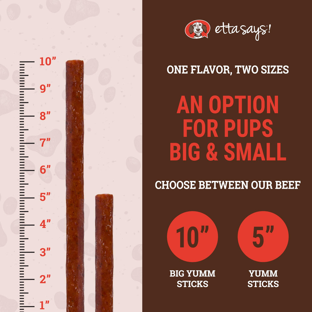 Close-up shows soft beef jerky bite ideal for training rewards.