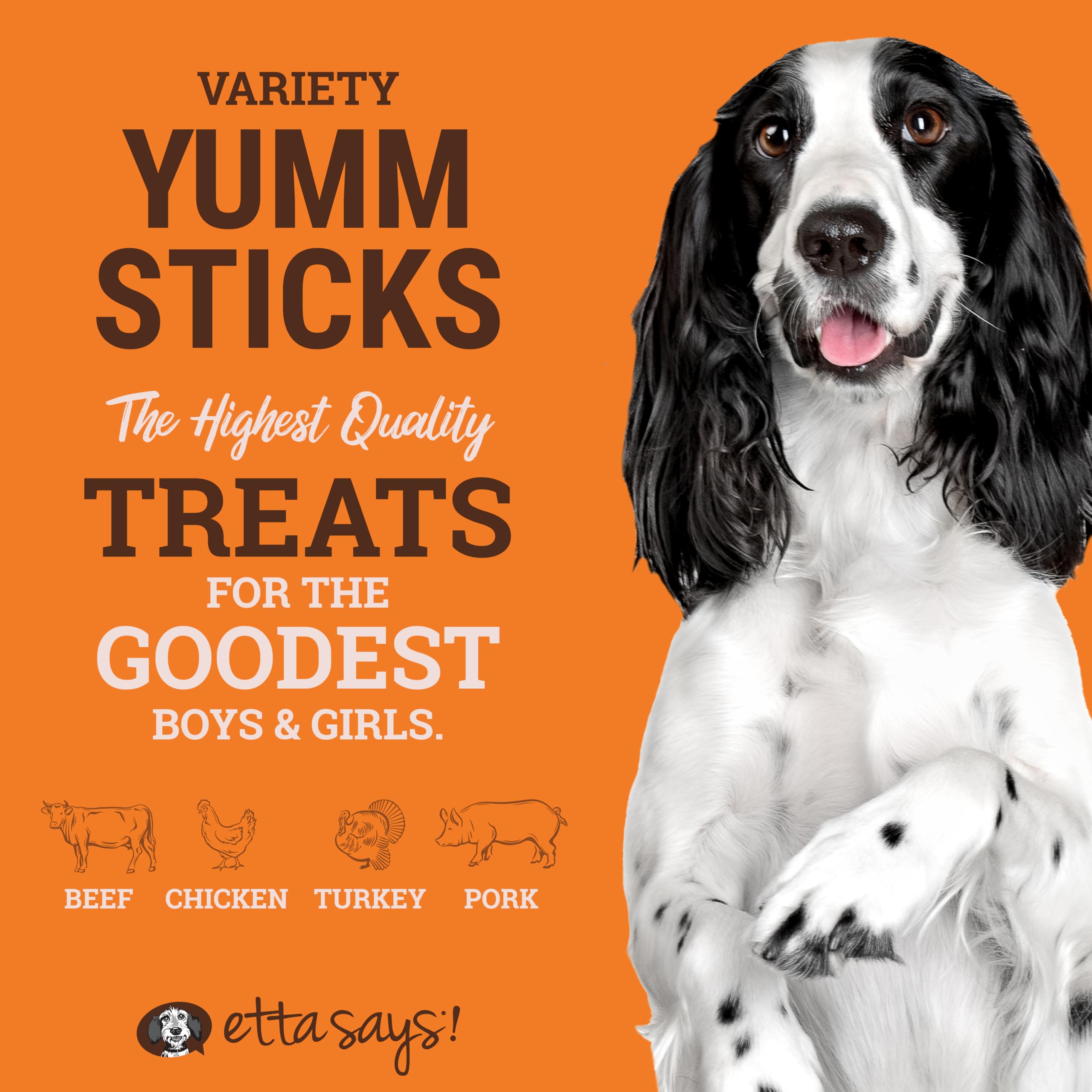 Yumm Sticks beef stick close-up highlighting protein-rich jerky