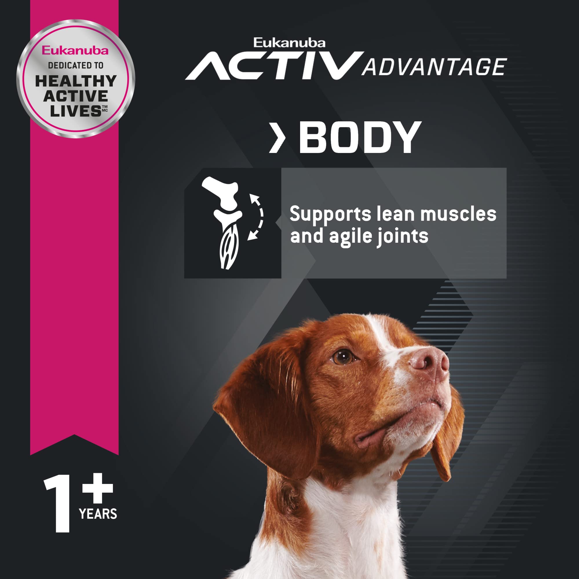 Eukanuba 3D DentaDefense supports dental care during daily chewing