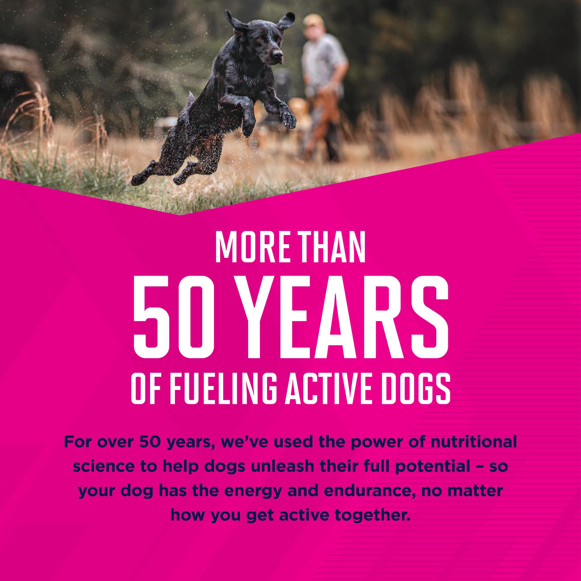 Eukanuba active dog enjoying meal for an active lifestyle.