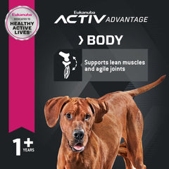 Eukanuba DHA and vitamin E support brain function in active large breeds.