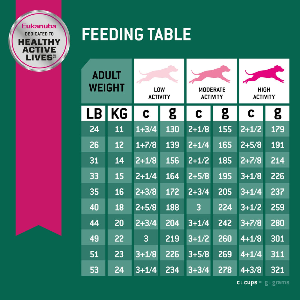Eukanuba Fit Body Weight Control active dog in motion reflects lifestyle compatibility.